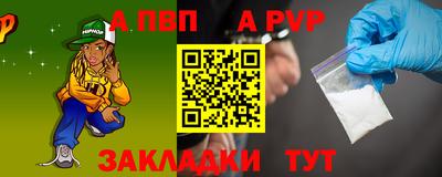 амф Кингисепп