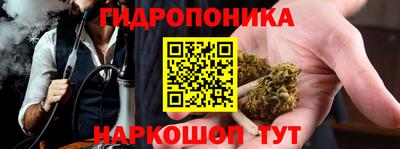 амф Кингисепп