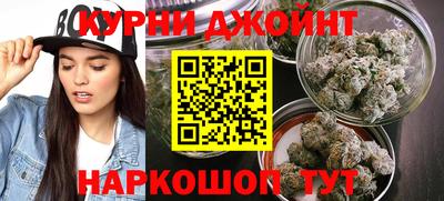 амф Кингисепп