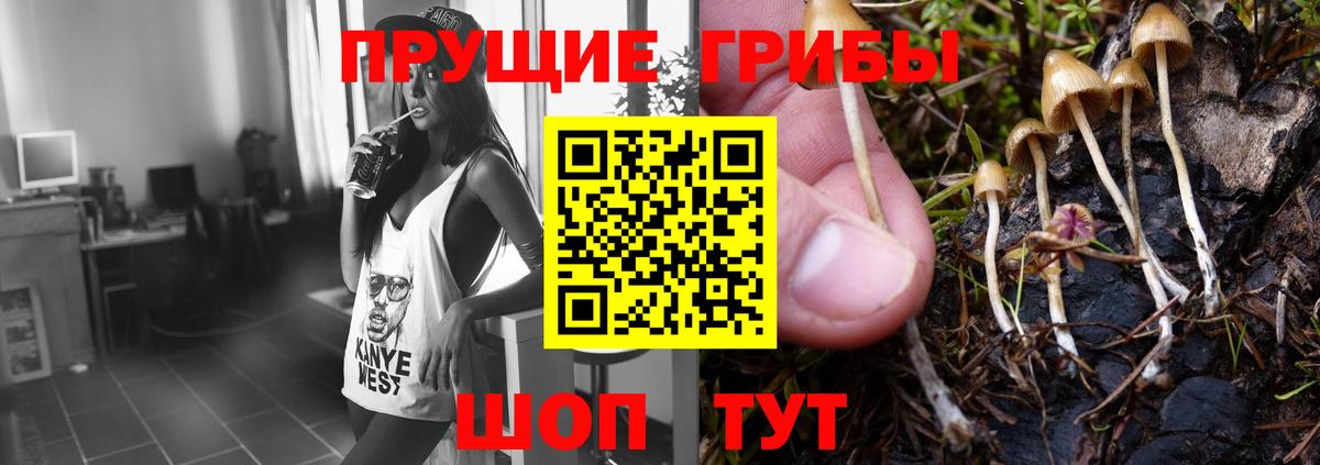 магазин    Псилоцибиновые грибы прущие грибы  Вход с VPN  Звенигород 